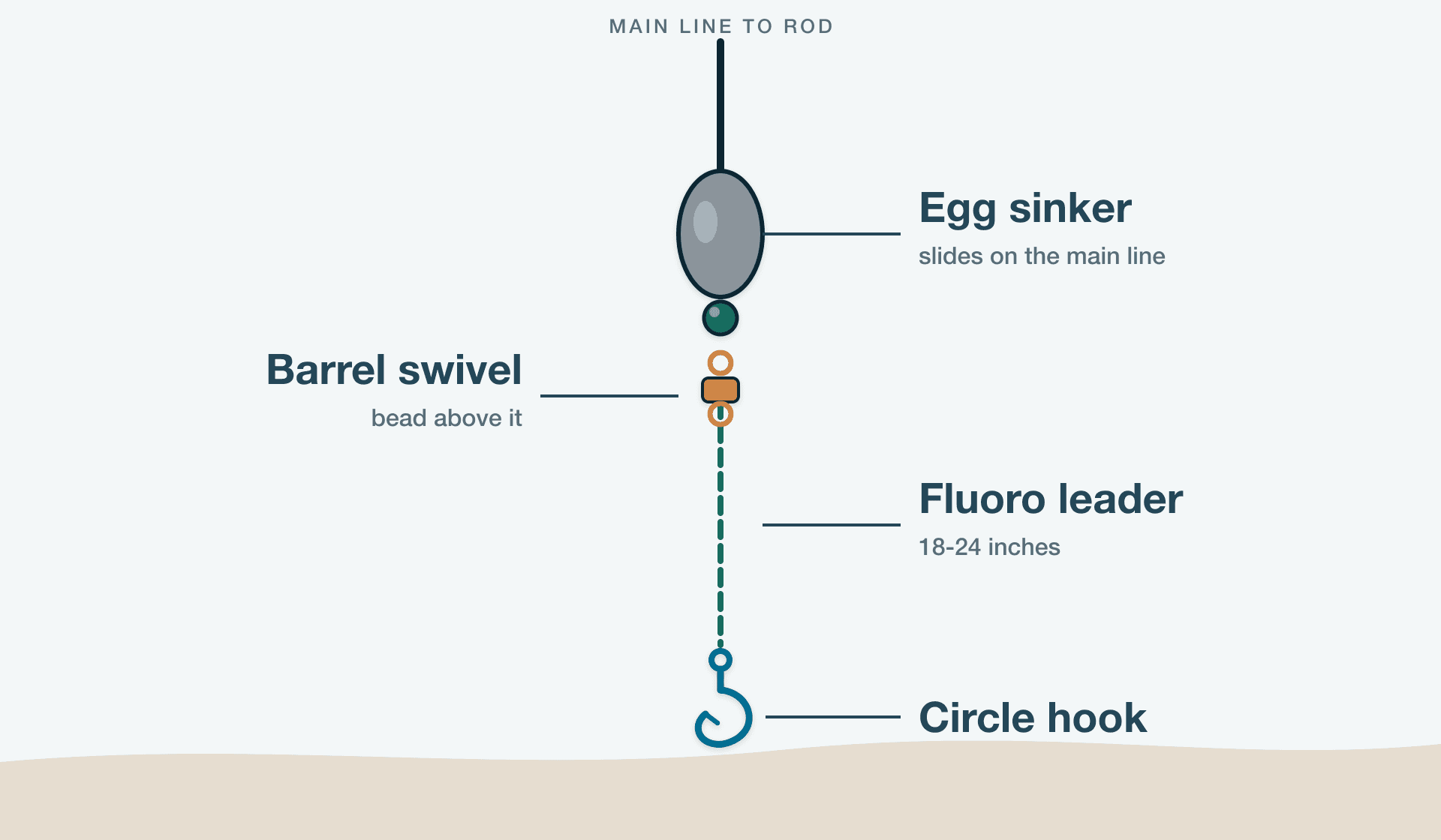 Diagram of the Carolina Rig