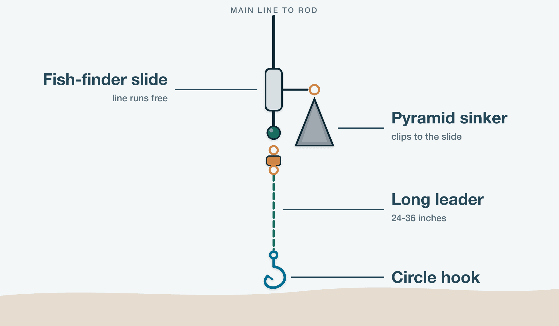 Diagram of the Fish Finder Rig