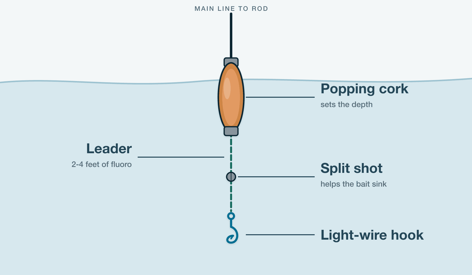 Diagram of the Float Rig (Bobber Rig)