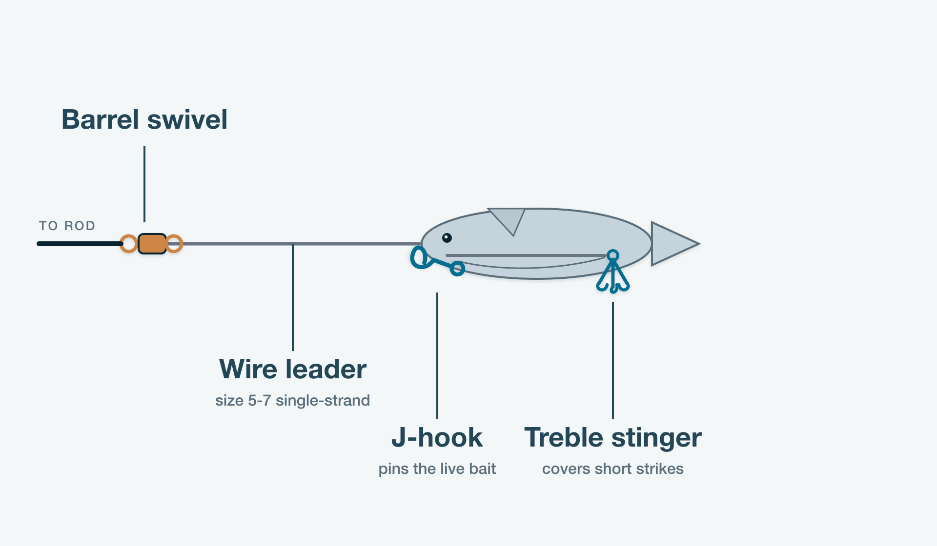 Diagram of the King Mackerel Rig (Stinger Rig)